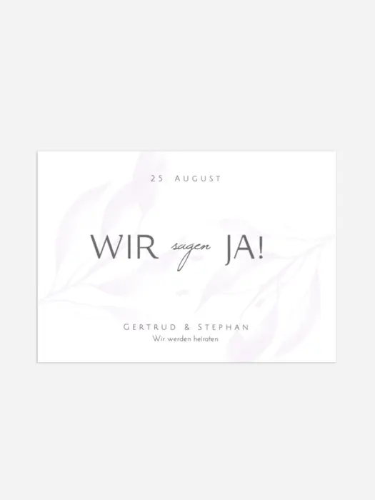 Product preview