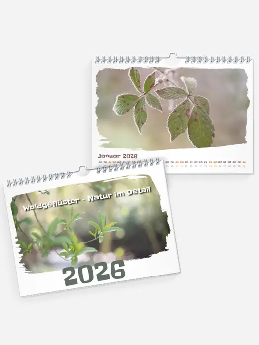 Natur-Impressionen