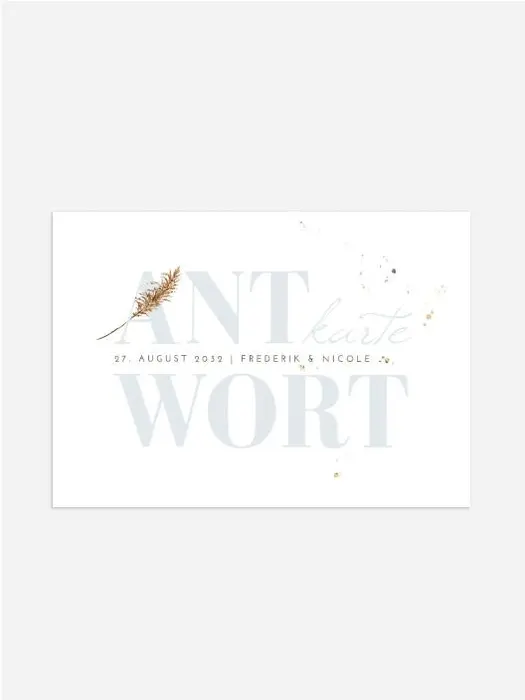 Product preview