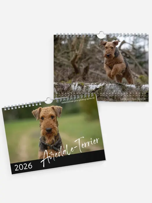 Airedale-Terrier