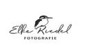 artists logo