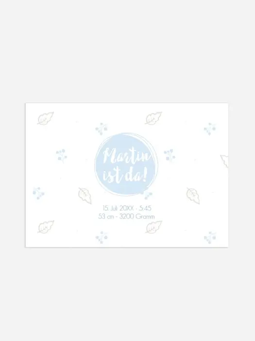 Product preview