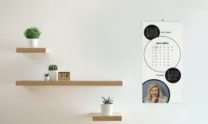 Zwei braune Regalbretter, auf einem steht eine Zimmerpflanze
