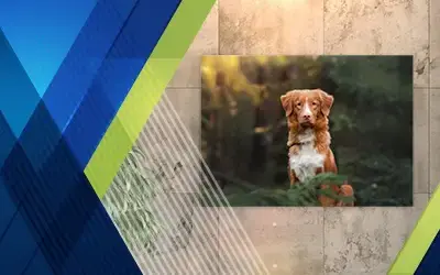 Slider background