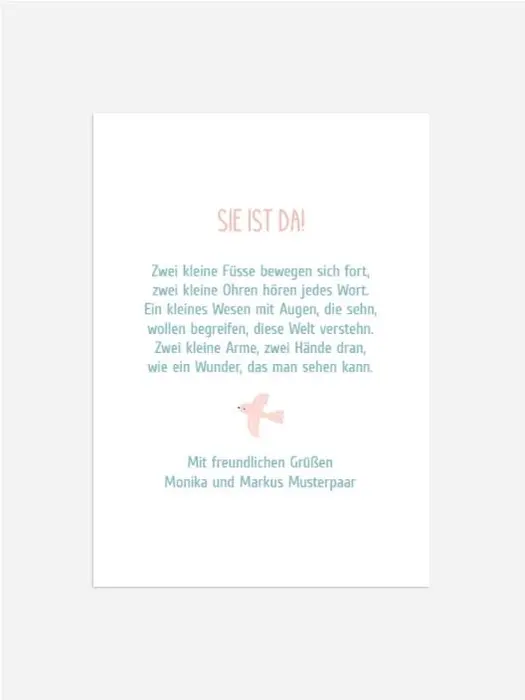 Product preview