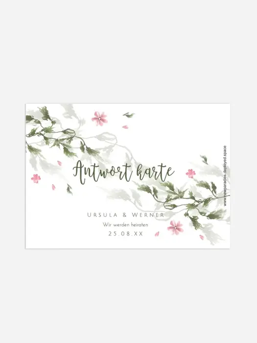 Product preview