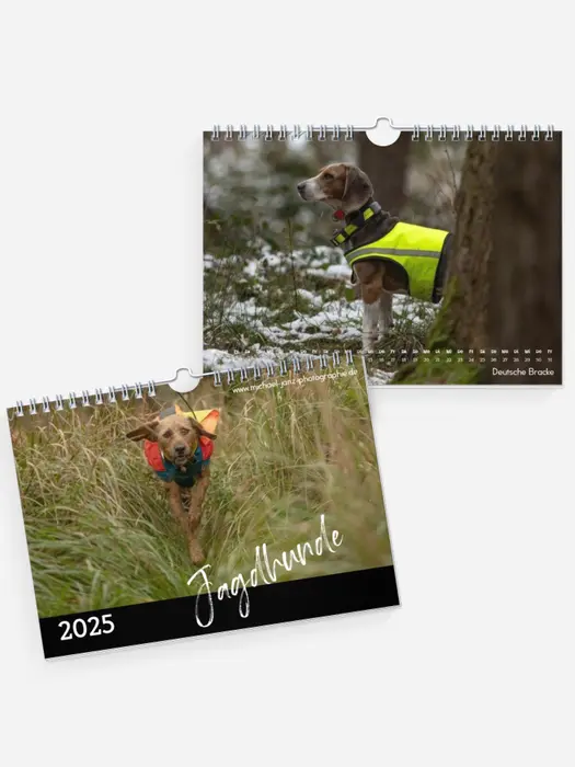 Jagdhunde Jagdhunde