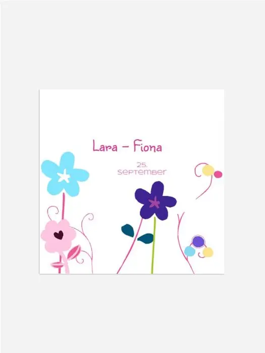 Product preview