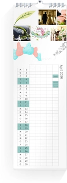 Product preview