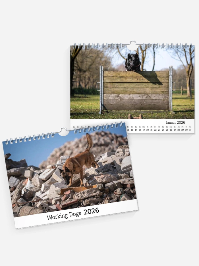 Working Dogs