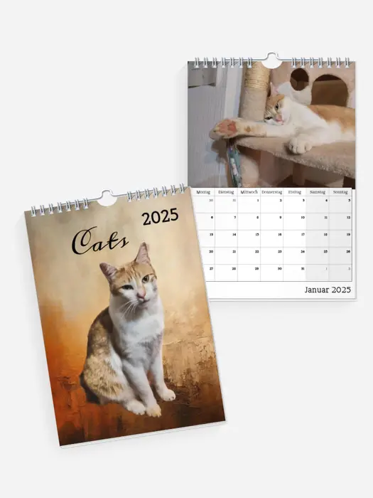 Cats Cats