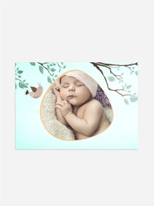 Product preview