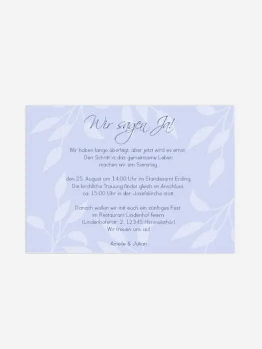 Product preview