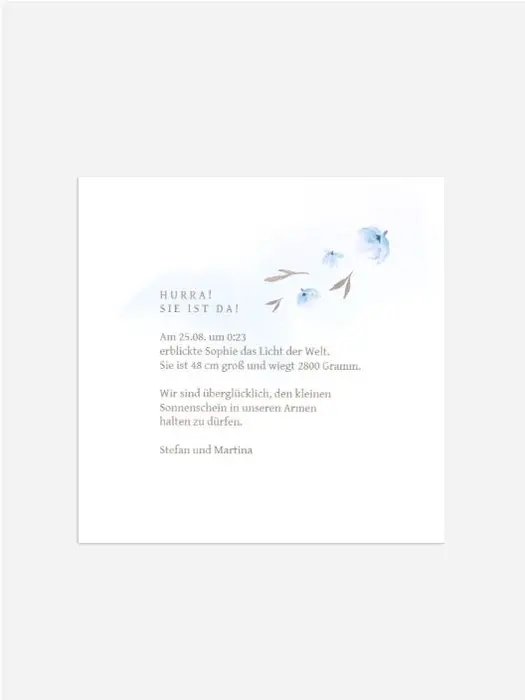 Product preview