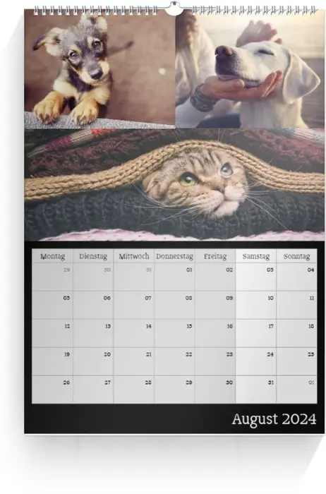 Product preview