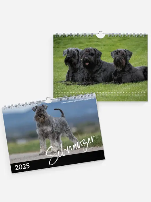Schnauzer