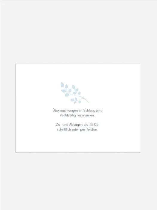 Product preview