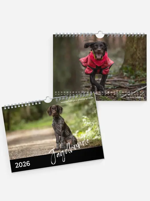 Jagdhunde