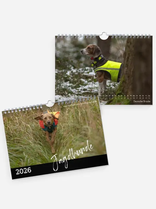 Jagdhunde