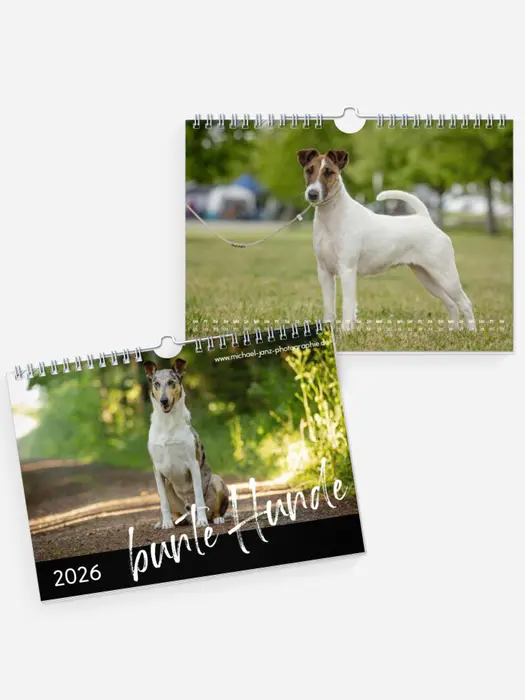 bunte Hunde bunte Hunde