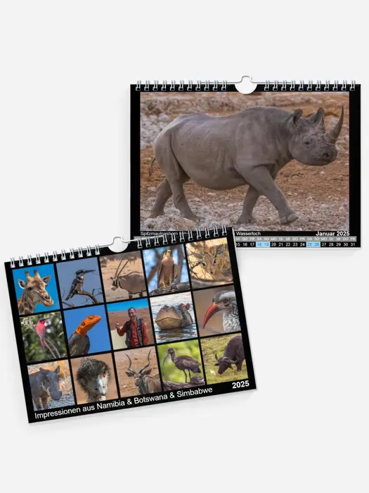 Impressionen aus Namibia & Botswana & Simbabwe