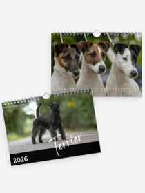 Terrier