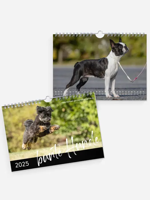bunte Hunde bunte Hunde