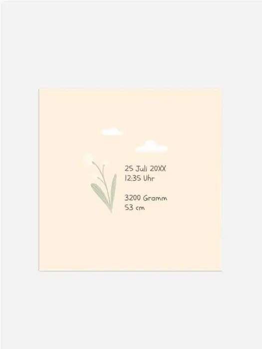 Product preview