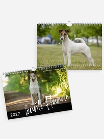 bunte Hunde