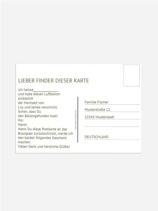Product preview