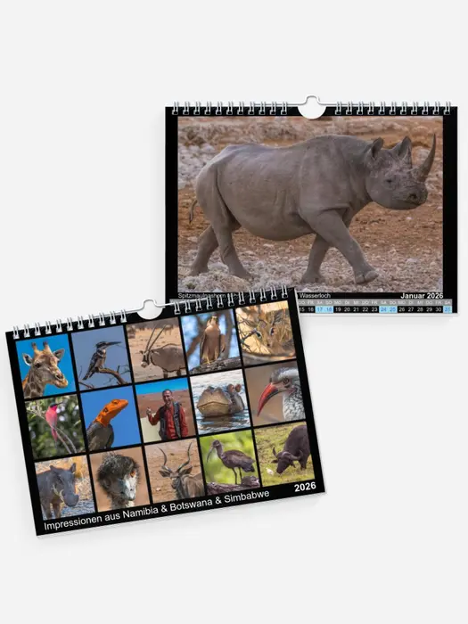 Impressionen aus Namibia & Botswana & Simbabwe