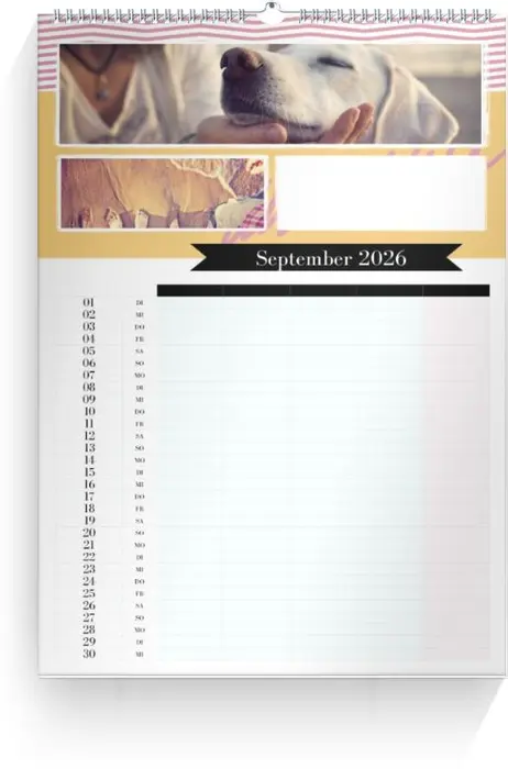 Product preview