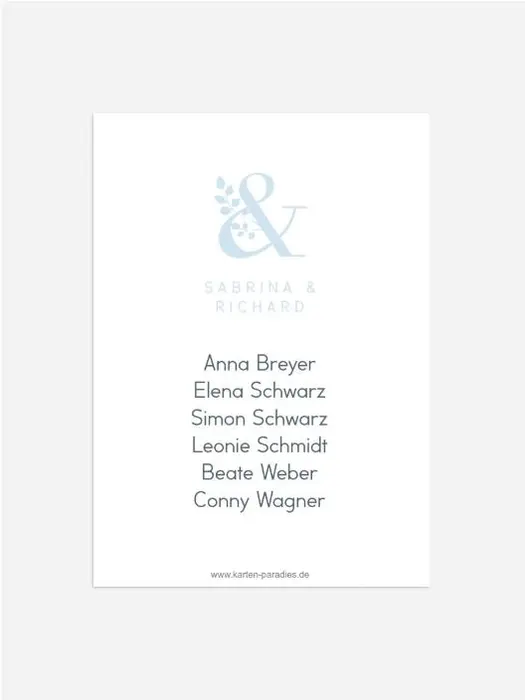 Product preview
