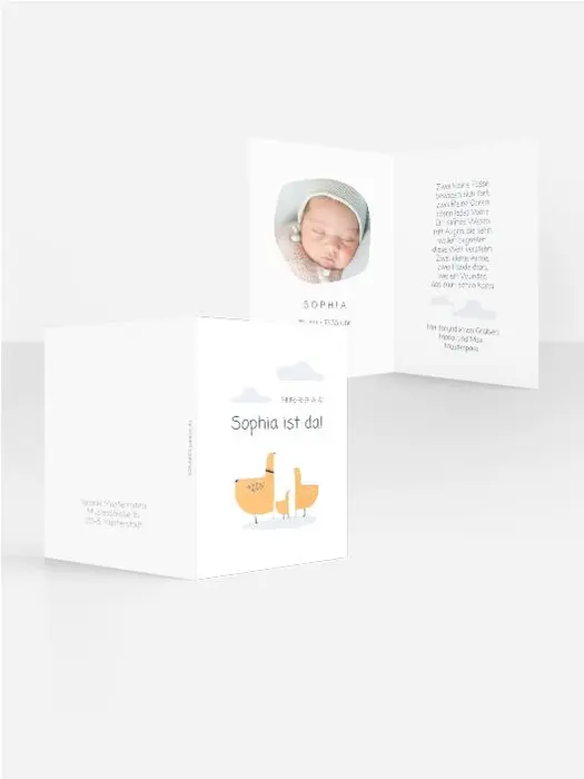 Product preview
