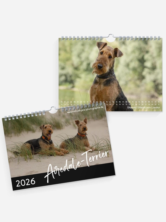 Airedale-Terrier Airedale-Terrier