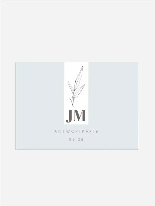 Product preview