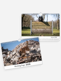 Working Dogs Working Dogs