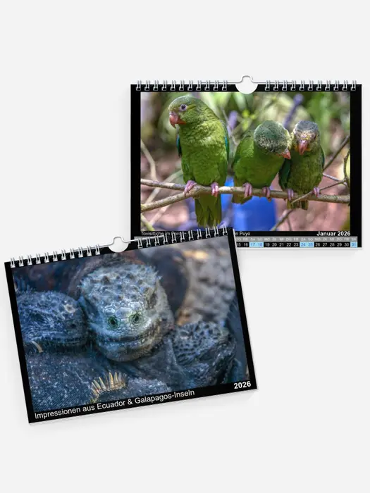 Impressionen aus Ecuador & Galapagos-Inseln