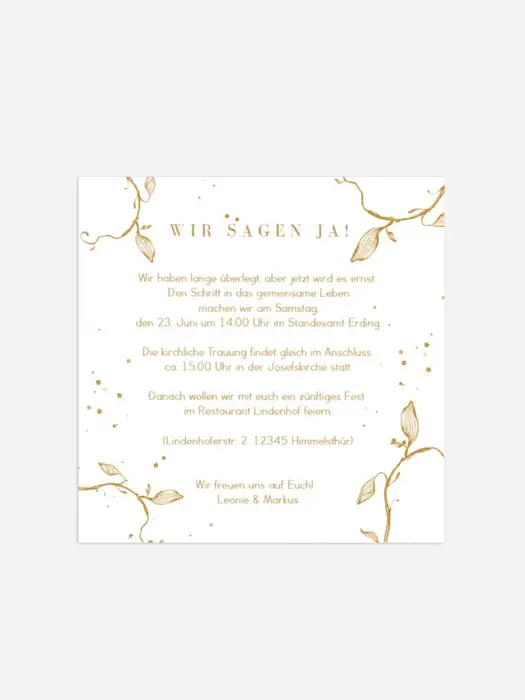 Product preview