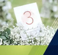 Category background image for Tischnummern Hochzeit