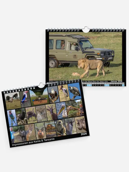 Impressionen aus Kenia & Tansania