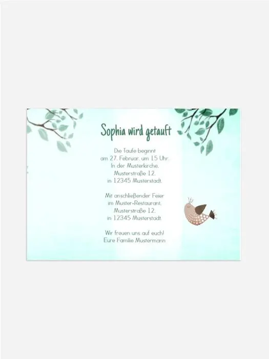 Product preview