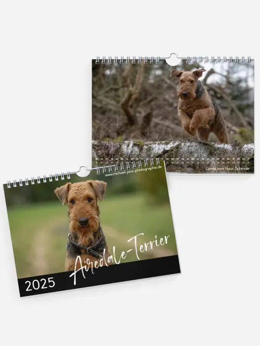 Airedale-Terrier Airedale-Terrier
